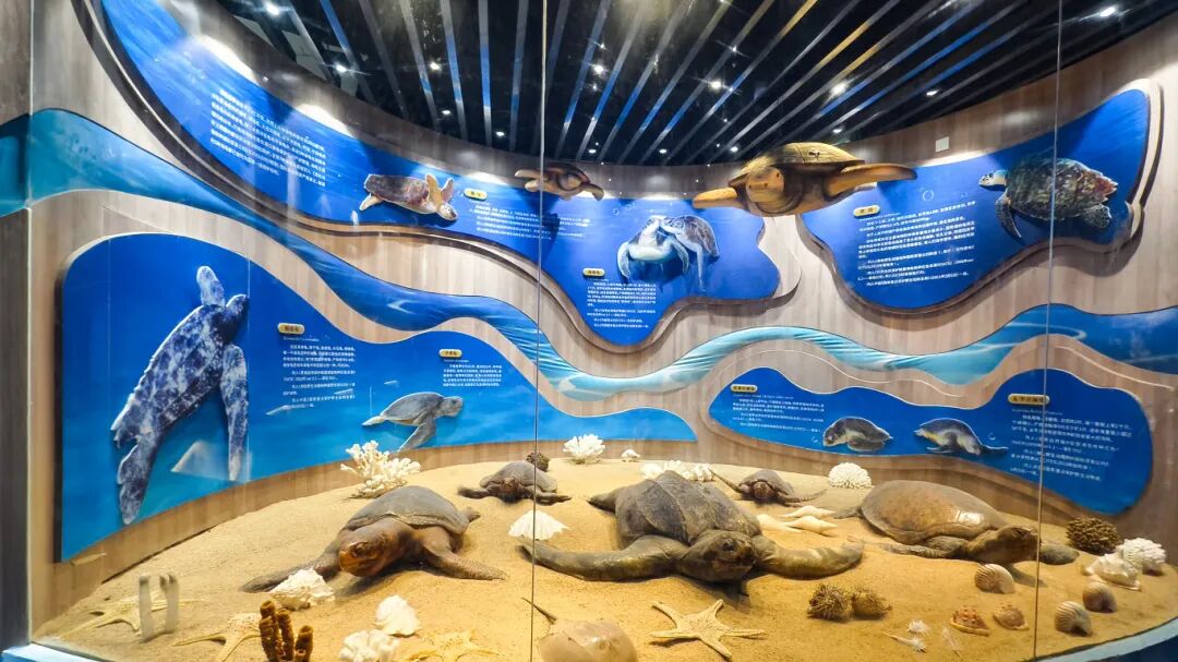 卫斯理2025年度旅游,凝聚团队力量,拥抱自然之美 卫斯理2025年度旅游,凝聚团队力量,拥抱自然之美