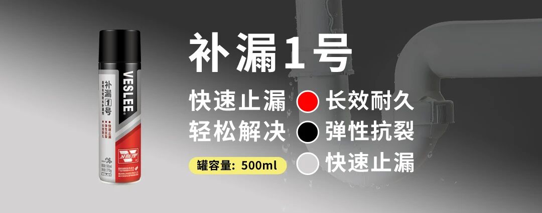 卫斯理入驻大润发15周年，携手共筑品质生活