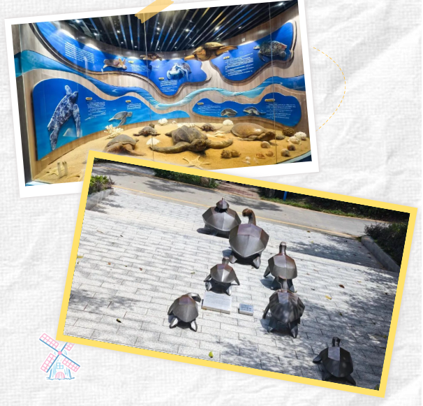 卫斯理2025年度旅游,凝聚团队力量,拥抱自然之美 卫斯理2025年度旅游,凝聚团队力量,拥抱自然之美