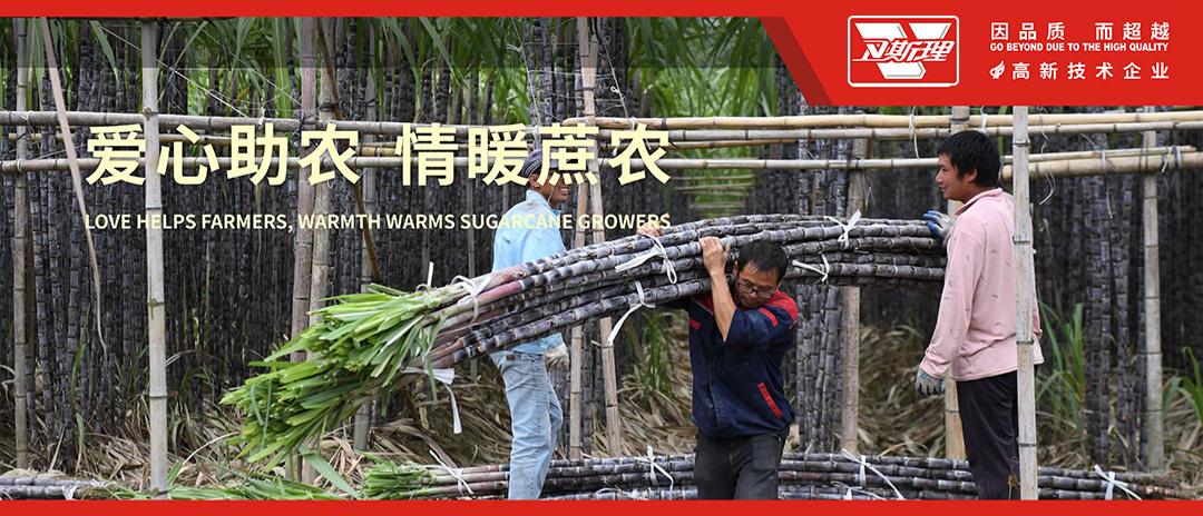 爱心助农，情暖蔗农|卫斯理采购滞销甘蔗