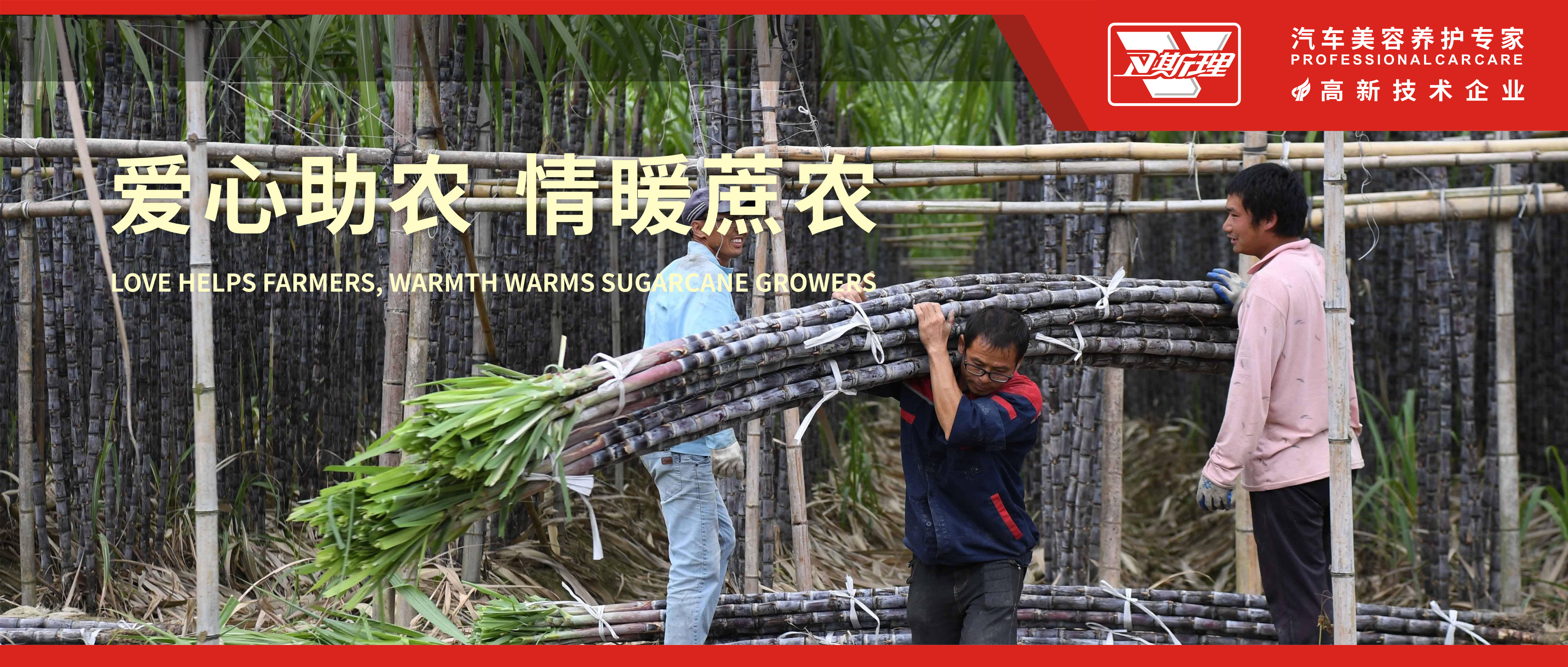 爱心助农，情暖蔗农，卫斯理精化采购滞销甘蔗